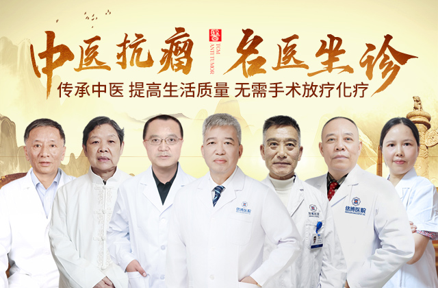 专家团队